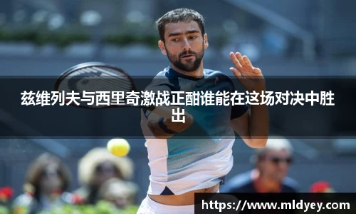 兹维列夫与西里奇激战正酣谁能在这场对决中胜出