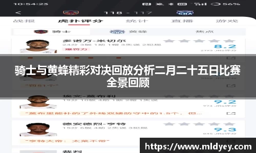 骑士与黄蜂精彩对决回放分析二月二十五日比赛全景回顾